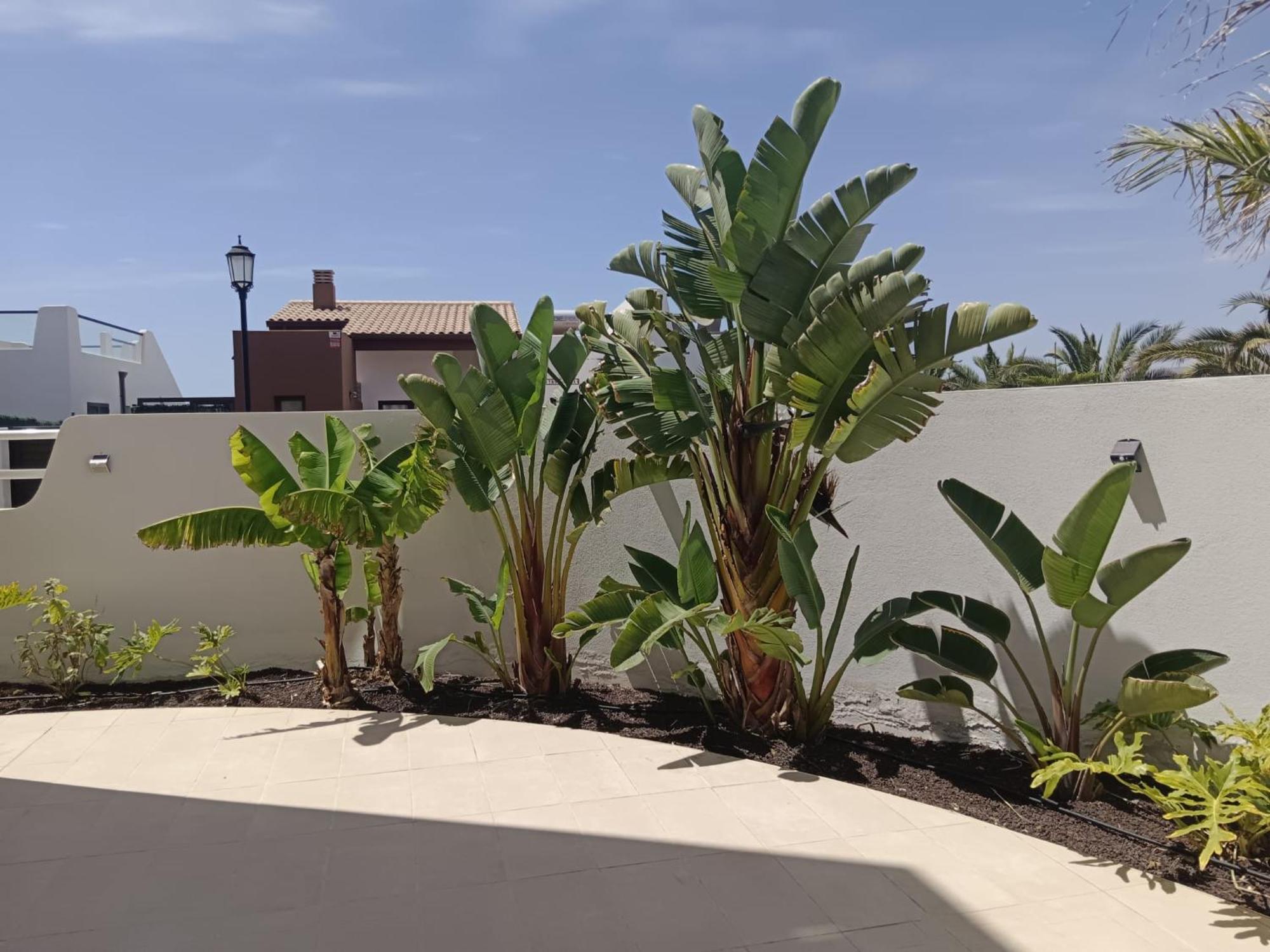 Homeforguest Flat With Large Terrace In Modern Residential Complex With Swimming Pool Caleta De Fuste Eksteriør billede